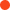color-1.webp color-1.webp