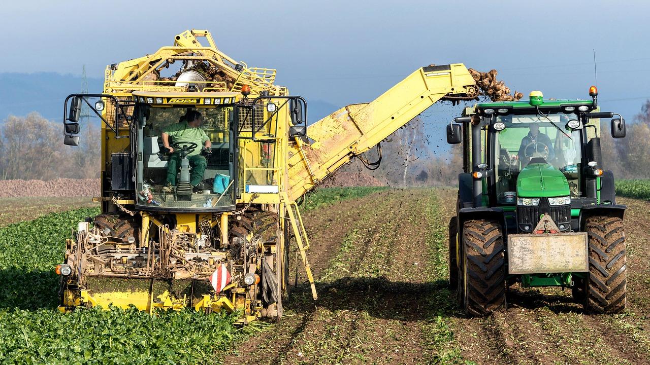 Unlocking efficiency Through Automation in Local Enterprises